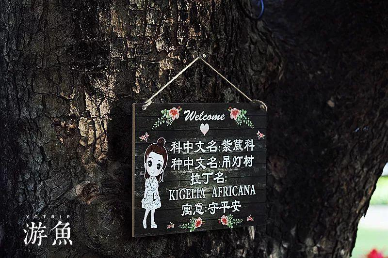 88影视