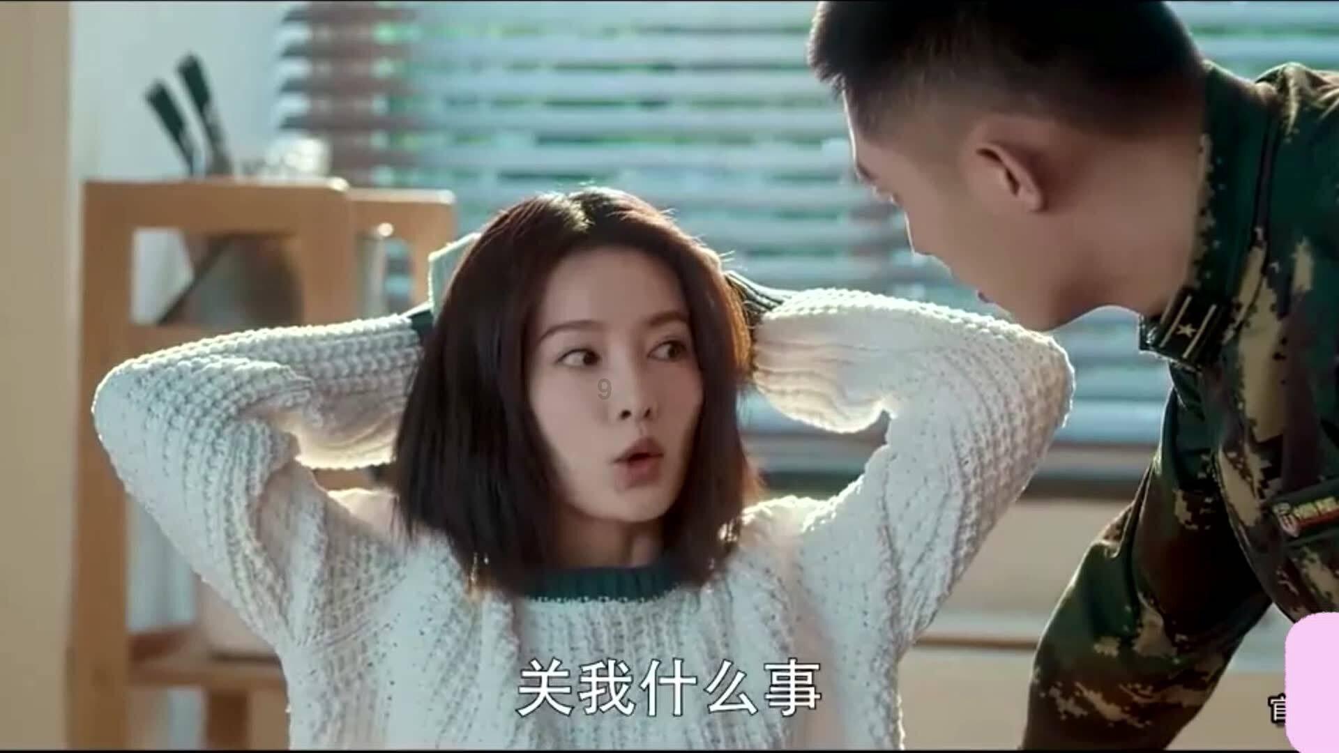动物帮帮忙保卫家园
