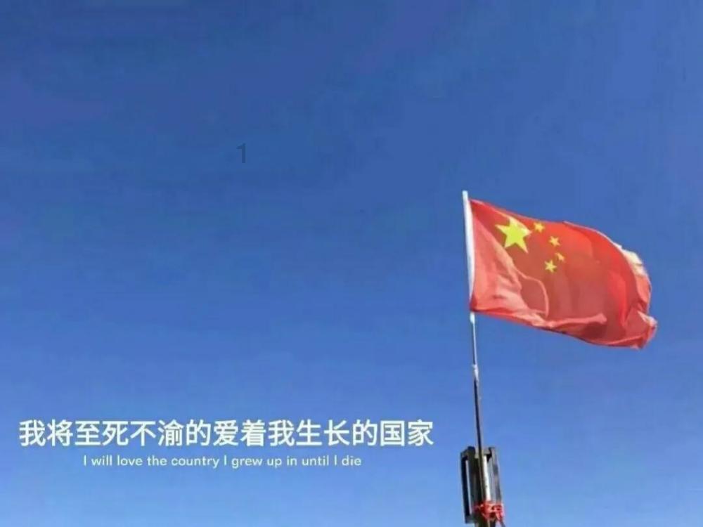 动物帮帮忙保卫家园